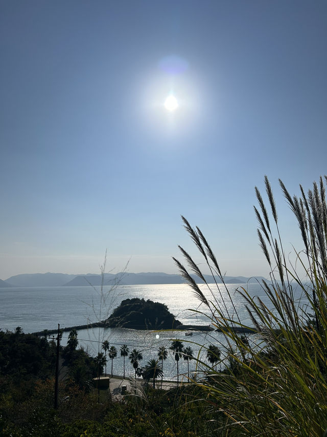 【香川→直島→豊島】アートを巡る旅！美術館＆島グルメを満喫