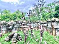 ［新竹旅遊］新竹市立動物園-親子共遊好去處🐒
