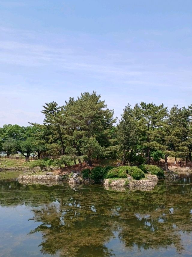 그림이 되는 풍경, 동궁과 월지의 멋