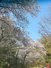 🌿 도심 속 작은 힐링, 수암골 산책길에서의 여유로운 한 걸음