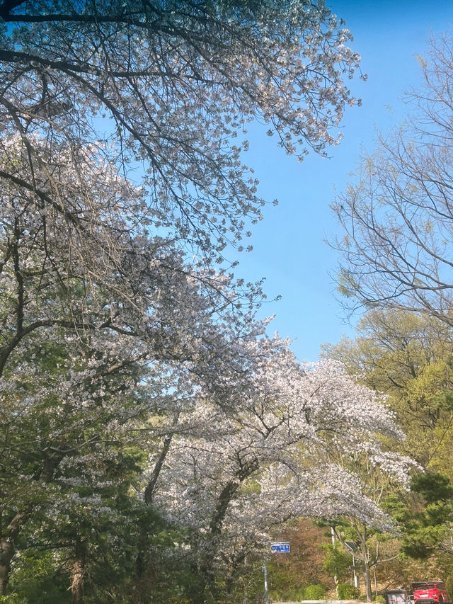 🌿 도심 속 작은 힐링, 수암골 산책길에서의 여유로운 한 걸음
