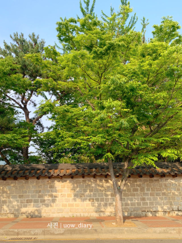 분위기 좋아요! 해바라기와 돌담길 구경🌻🌻