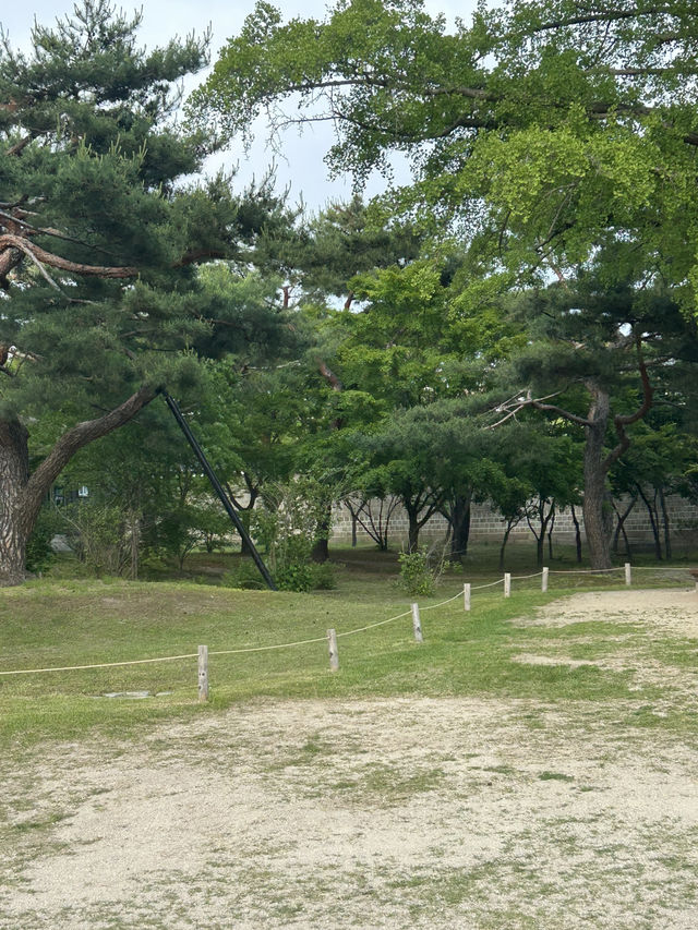 📸 고궁의 아름다움과 여유를 느낄 수 있는 산책 명소, 경복궁