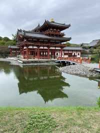 【宇治超出片🌿】世界遺產×抹茶天堂！宇治平等院一日散策全攻略！