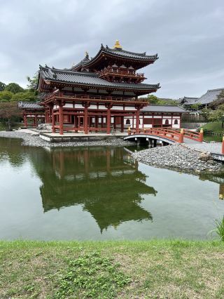 【宇治超出片🌿】世界遺產×抹茶天堂！宇治平等院一日散策全攻略！
