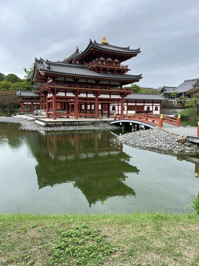 【宇治超出片🌿】世界遺產×抹茶天堂！宇治平等院一日散策全攻略！