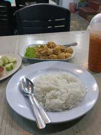weekend trip to northern city of peninsular, Alor Setar !
