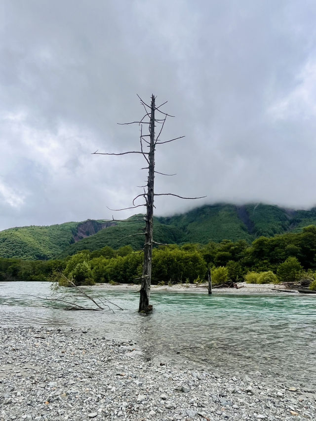 Summer Trek Through Kamikochi’s Alpine Wonderland