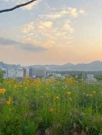 서울 종로구, 과거와 현재가 만나는 도시 여행⌚️🕰️