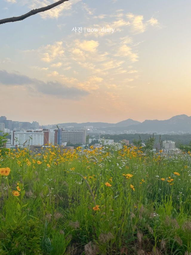 서울 종로구, 과거와 현재가 만나는 도시 여행⌚️🕰️