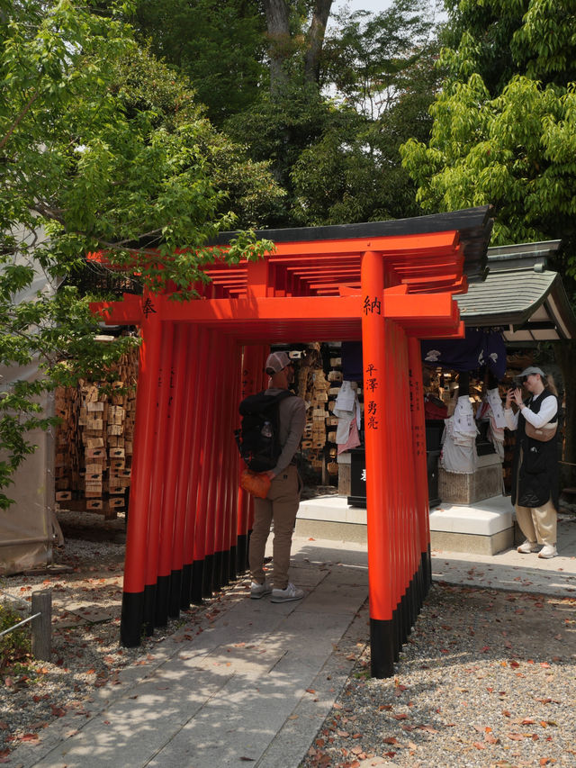 京都王道！北野天満宮🌸