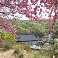 천안 각원사 겹벚꽃 당일치기 여행🌸