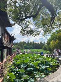 杭州🇨🇳 再有時間一定會再深度遊這個城市