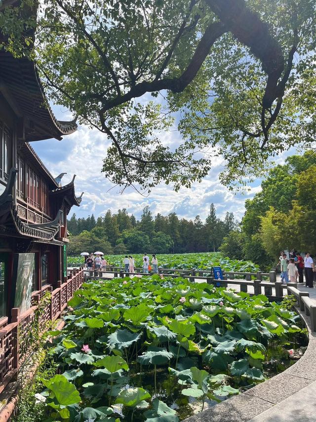 杭州🇨🇳 再有時間一定會再深度遊這個城市