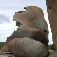 Kangaroo Island – SA