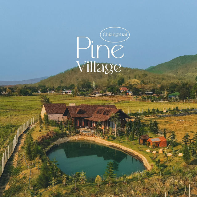 Pine village เชียงใหม่
