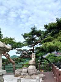 바다와 숲이 만나는 천년의 산책