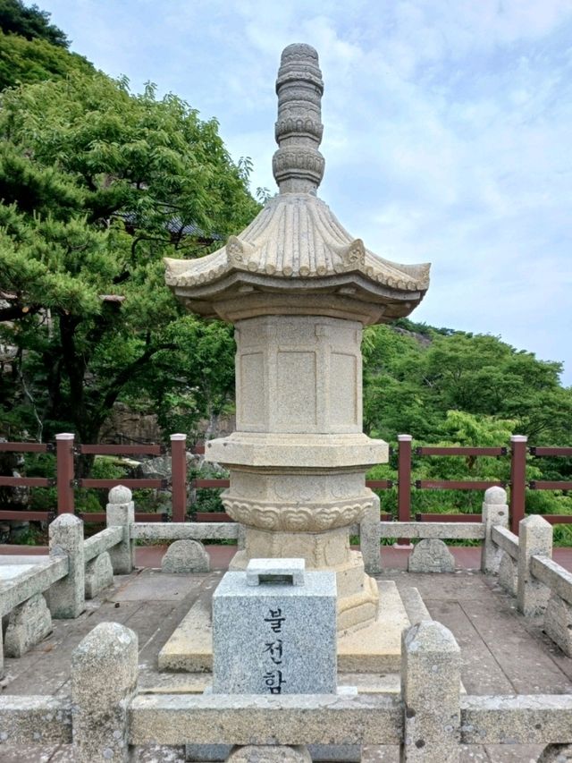 바다와 숲이 만나는 천년의 산책