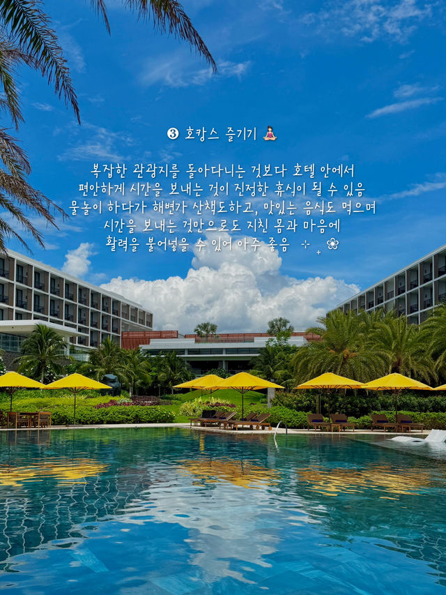 (저장💌) 나트랑 여행, 이것만은 꼭 하고오세요 🇻🇳