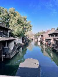 Morning Serenity in Wuzhen ☀️🌿 | A Slow Summer Day with Early Tea 🍵🌸