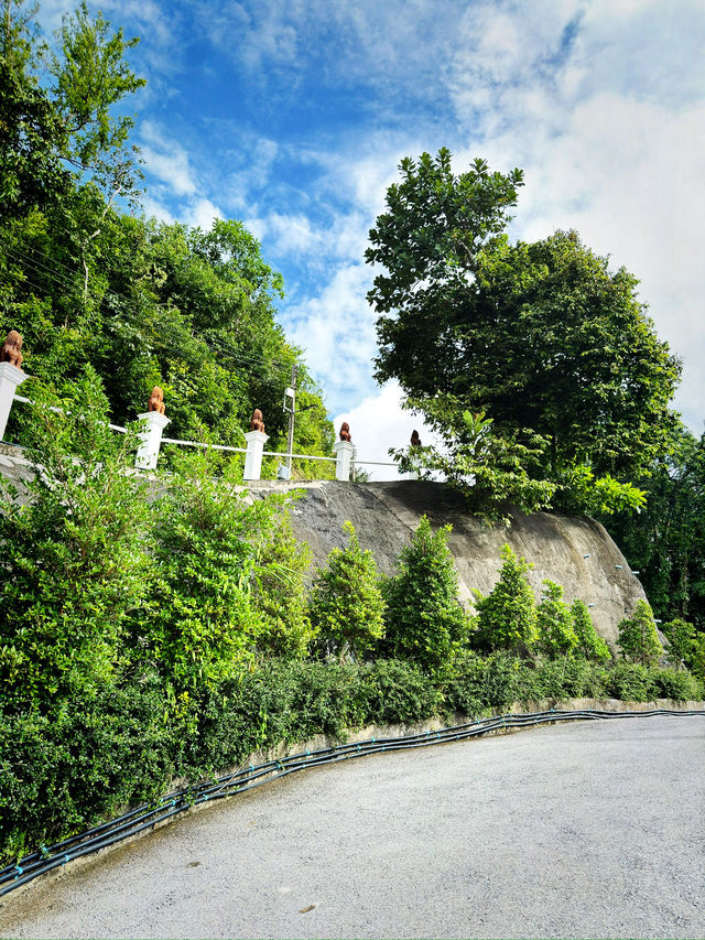 Wat Doi Thepnimit – The Hilltop Gem of Patong