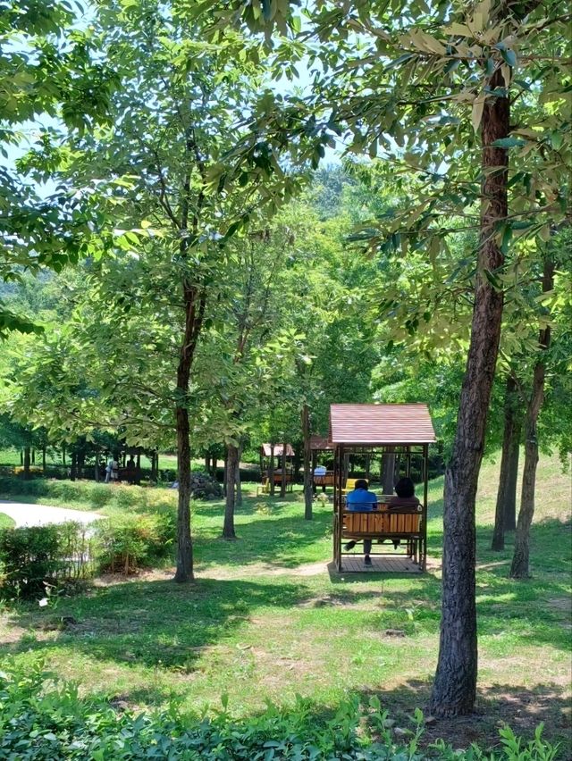 꽃길 속 힐링 데이트