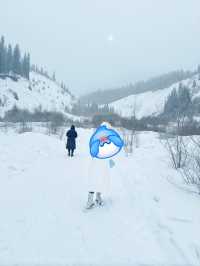 Frozen Dreams: A Winter Escape to Lake Kaindy