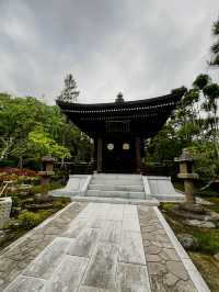 仙台　輪王寺に行くべき5つの理由🇯🇵✈️🌎