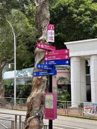 Hong Kong Park – A Lush Urban Sanctuary in Central