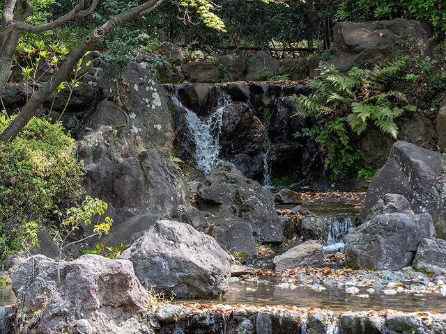 橫濱🇯🇵彼我庭園