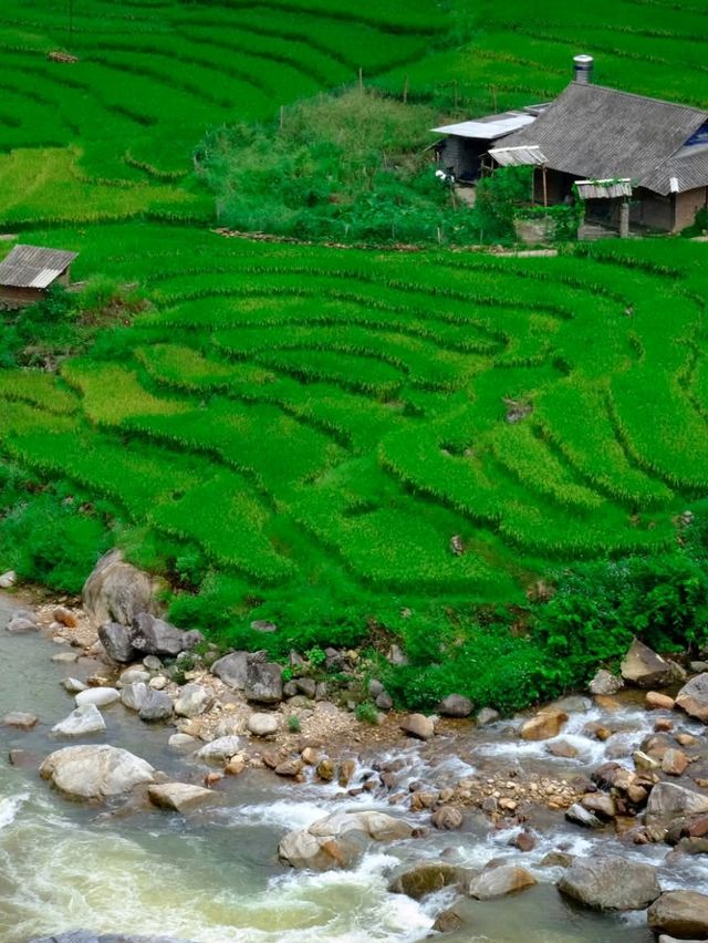 🏔️ Phuong Nam Hotel - Sapa, Vietnam 🇻🇳