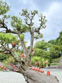 วัดคัตสึโอจิ Katsuoji Temple โอซาก้า ญี่ปุ่น