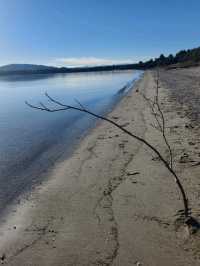 Pristine Escape: Why Fraser Beach Near Te Anau Is a Must-Visit