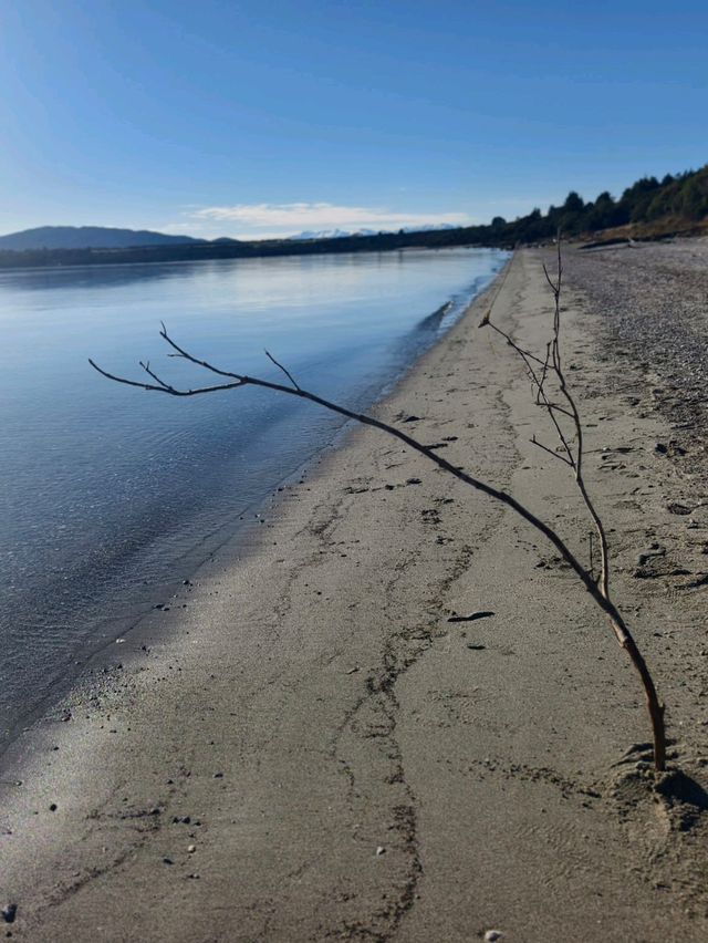 Pristine Escape: Why Fraser Beach Near Te Anau Is a Must-Visit