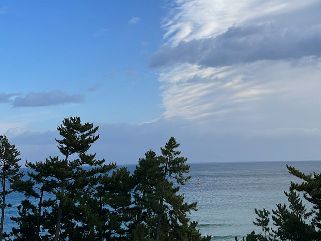 🔔 햇살이 머무는 바다, 삼척의 하루 🌊