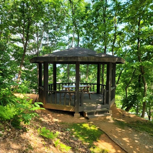 Cozy Trails & Calm Views