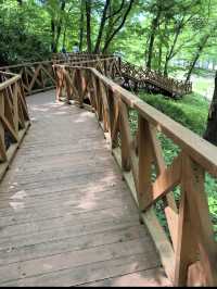 ムーミンの世界に迷い込む「トーベ・ヤンソンあけぼの子どもの森公園」で、童話のような休日旅