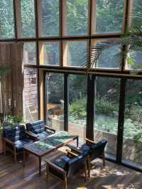 🏡 은평에서 즐기는 한옥 산책과 조용한 티타임