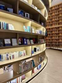 Literary oasis in the city: where books breathe in golden light