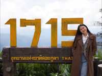 จุดพักรถที่วิวสวยที่สุดบนถนนลอยฟ้า จ.น่าน