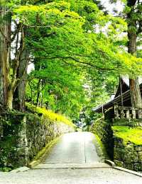 The vermillion Shinkyo Bridge, an icon of Nikko National Park