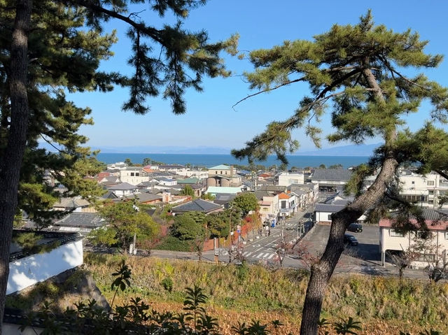 Shimabara Castle: A Hidden Gem of Samurai, Rebellion, and Tranquil Views