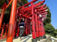 ⛩️ Finding Peace and Beauty at Yūtoku Inari Shrine