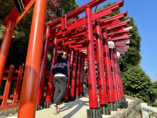 ⛩️ Finding Peace and Beauty at Yūtoku Inari Shrine
