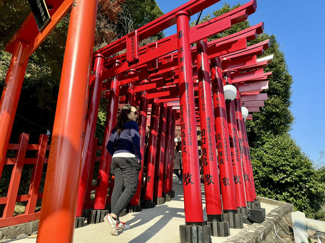 ⛩️ Finding Peace and Beauty at Yūtoku Inari Shrine