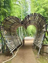 🎋🌊 Bamboo Forest at Geoje Island (거제 대나무 숲): A Serene Summer Escape