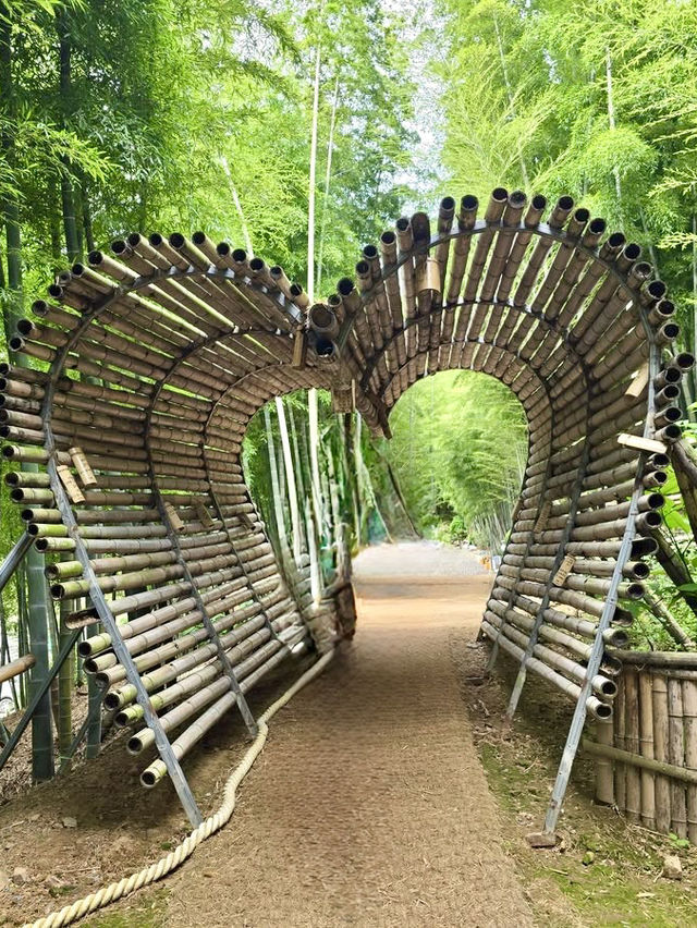 🎋🌊 Bamboo Forest at Geoje Island (거제 대나무 숲): A Serene Summer Escape
