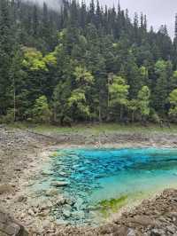 Ultimate Jiuzhaigou Valley Guide: China's Most Breathtaking UNESCO Paradise
