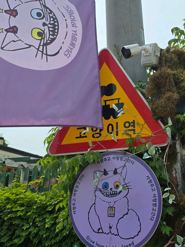 🧡💙영흥도 고양이와 고양이역