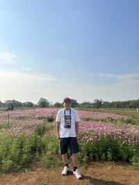 2 Days in Khao Yai: Wine, Flowers & Hidden Gems – My Private Tour Experience from Bangkok 🍷🌻